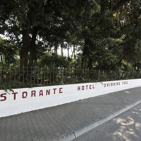 Raffaelli Angela Forte dei Marmi