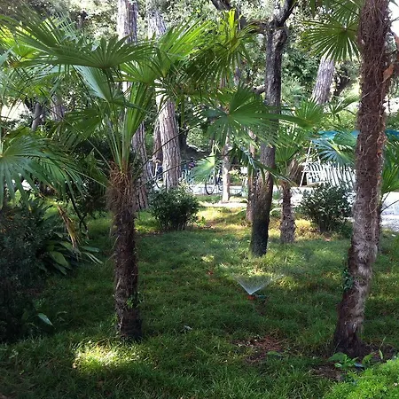 Raffaelli Angela Hotel Forte dei Marmi