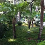 Raffaelli Angela Hotel Forte dei Marmi