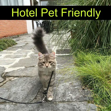 Hotel Raffaelli Angela Forte dei Marmi