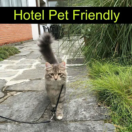 호텔 Raffaelli Angela 포르데데이마르미