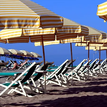 Raffaelli Angela 포르데데이마르미