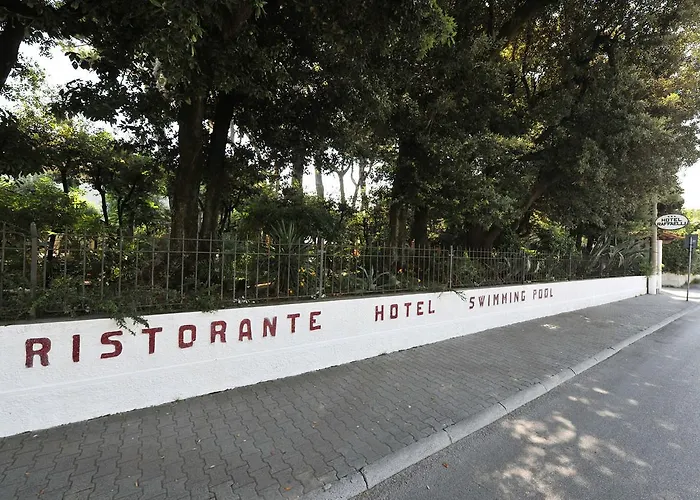 Raffaelli Angela Forte dei Marmi