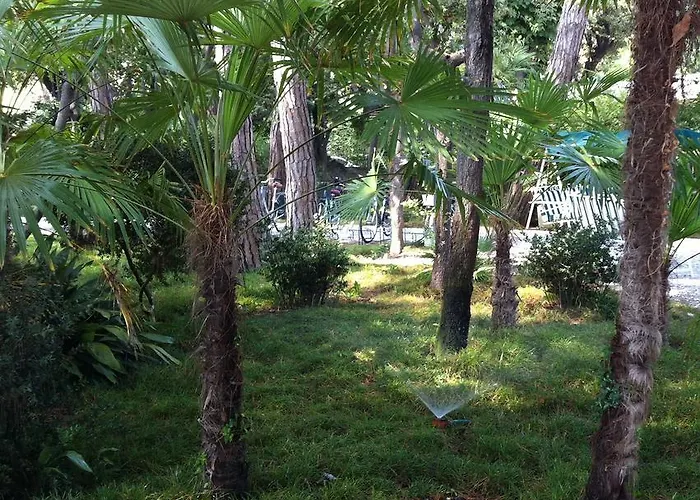 Raffaelli Angela Hotel Forte dei Marmi