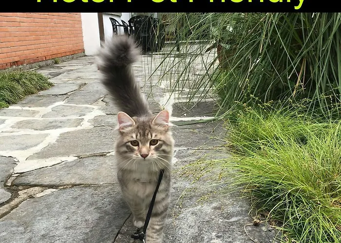 Hotel Raffaelli Angela Forte dei Marmi