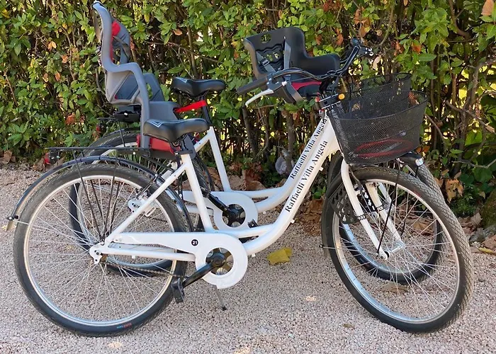 Hotel Raffaelli Angela 3*